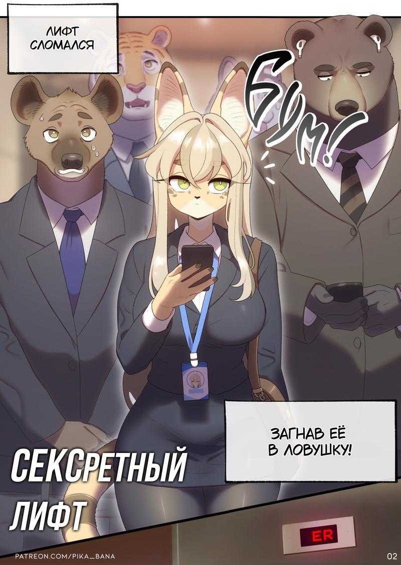 Сексретный лифт